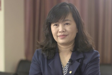 Việt Nam đang đứng trước 'cơ hội vàng' phát triển ngành xe điện