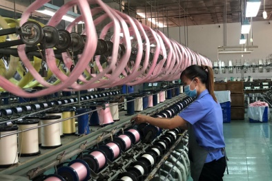 Chính sách miễn, giảm thuế: ‘Phao cứu sinh’ hỗ trợ doanh nghiệp