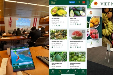 Bản đồ trái cây Việt Nam dự hội chợ lớn nhất Châu Âu