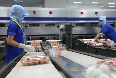 Khó khăn bủa vây doanh nghiệp khi trở lại hoạt động trong tình cảnh còn dịch