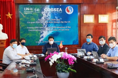 Việt Nam tổ chức thành công IGM 25 - phần thứ nhất: Tăng cường thúc đẩy bảo vệ môi trường biển