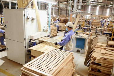 Doanh nghiệp gỗ hoạt động cầm chừng, xuất khẩu gỗ liên tục giảm sút