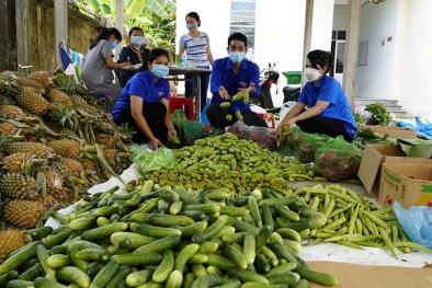 Giãn cách xã hội kéo dài, các mặt hàng nông sản tại nhiều tỉnh thành ùn ứ nặng nề