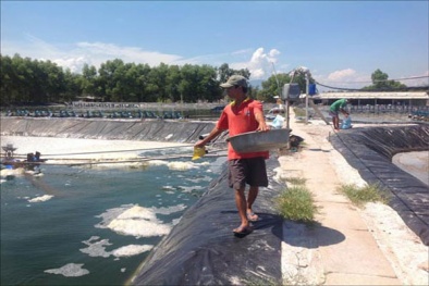 Giải pháp phục hồi sản xuất nông, thủy sản ở Nam Bộ sau giãn cách xã hội