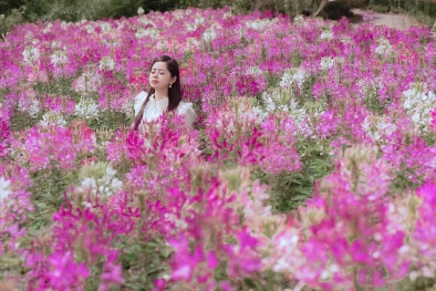 Mùa hoa Sa Pa đã tới rồi, bạn có nhớ cái hẹn lúc thu về?