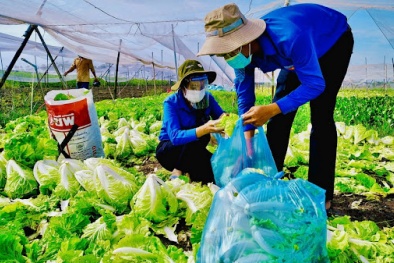 Giải pháp gỡ khó cho người nông dân, tiếp tục nâng cao vị thế ngành nông nghiệp