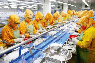 Từng bước mở cửa lại nền kinh tế: Cần thận trọng và có cơ sở khoa học