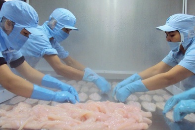 Mexico trở thành thị trường nhập khẩu cá tra Việt Nam lớn nhất khu vực Mỹ Latinh