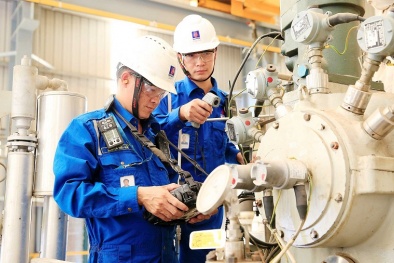 Nguồn nhân lực chất lượng cao – nhân tố quan trọng trong phát triển kinh tế 