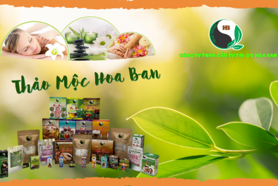 Thảo mộc Hoa Ban mập mờ công dụng, chất lượng sản phẩm?