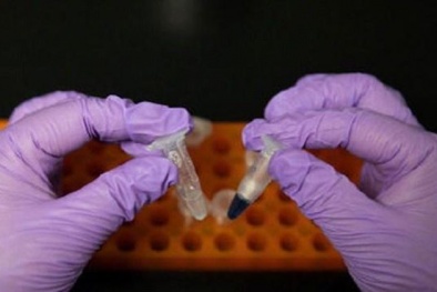 Điều chế thành công tinh bột nhân tạo từ CO2