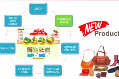 Cơ hội cho nữ doanh nhân kinh doanh trên nền tảng thương mại điện tử