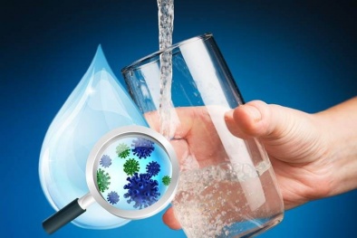 Loại vi khuẩn có thể biến nước ô nhiễm thành nước sạch