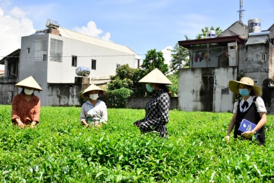 Các quốc gia khu vực Châu Á, Thái Bình Dương cần phải chuyển đổi ngành nông nghiệp hiện đại