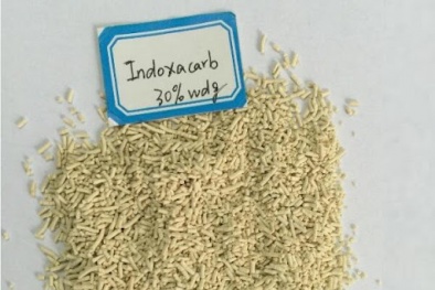 EU thông báo dự thảo về hoạt chất indoxacard không được gia hạn phê duyệt