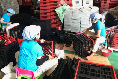 Đứng vững giữa vòng xoáy Covid-19 nhờ xuất khẩu trực tuyến