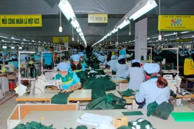 Chậm công bố thông tin, Công ty cổ phần X20 bị xử phạt 70 triệu đồng