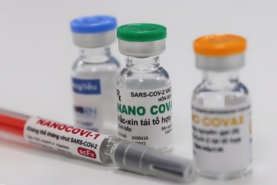 Phấn đấu 100% vaccine trong nước đạt tiêu chuẩn tương đương với tiêu chuẩn quốc tế