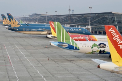 Chính phủ yêu cầu xem xét, xử lý phản ánh về giá sàn vé máy bay 