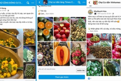 Làm gì để chống thất thu thuế từ kinh doanh ‘chợ dân sinh’ online?