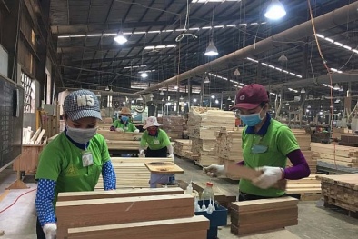 Việt Nam - Hoa Kỳ đạt thỏa thuận về cam kết ngăn chặn gỗ bất hợp pháp