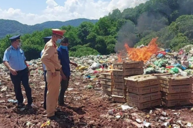 Kiên quyết ngăn chặn nhập lậu gia cầm giống