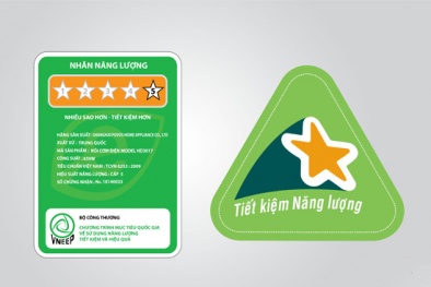 Lựa chọn sản phẩm tiết kiệm năng lượng, người tiêu dùng cần lưu ý 3 loại nhãn này