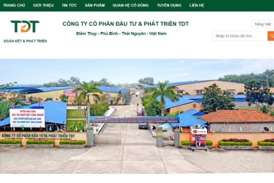 Vì sao Công ty CP Đầu tư và Phát triển TDT bị xử phạt 100 triệu đồng?