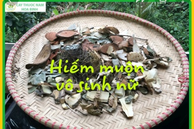 Dùng thuốc đông y chữa vô sinh trên chợ mạng: Coi chừng 'tiền mất tật mang'!