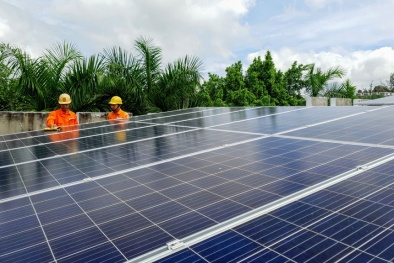 Phát triển hạ tầng chất lượng tấm quang điện mặt trời ở Việt Nam