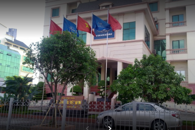 Công ty Cổ phần Đầu tư và Công nghệ Tân Hoàng Minh Phát: Tham gia là trúng thầu?