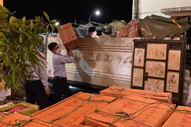 Trên 1 tấn trái cây tươi không rõ nguồn gốc bị chặn đứng 