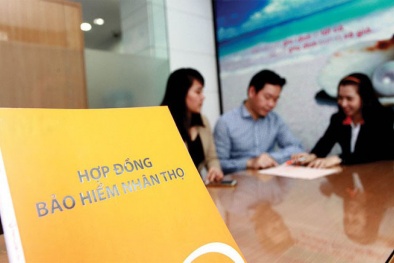 Thị trường bảo hiểm Việt Nam tăng trưởng nhanh vượt bậc