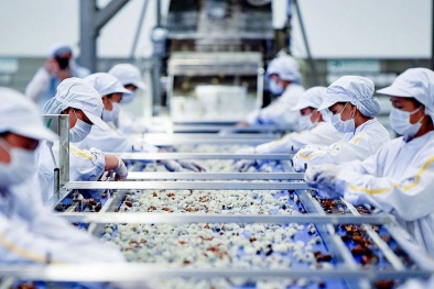 Xuất khẩu hàng hóa sang thị trường ASEAN: Doanh nghiệp cần quan tâm vấn đề gì?