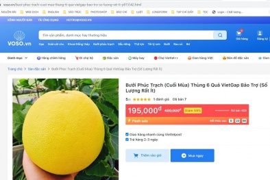 Xúc tiến thương mại trực tuyến: Bước đi hiệu quả và thiết thực