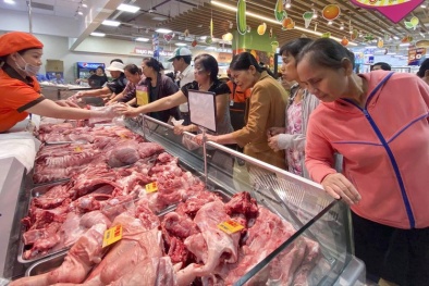 Ồ ạt nhập khẩu thịt đông lạnh: Lợi bất cập hại