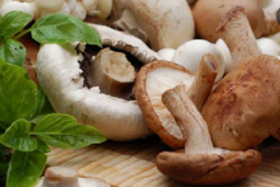Nấm rất tốt cho sức khỏe nhưng khi sử dụng cần lựa chọn đúng cách