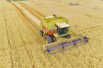 Dòng sản phẩm Nutrilite Protein đạt danh hiệu bán chạy số 1 thế giới