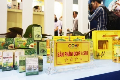 Hà Nội sẽ đánh giá, phân hạng trên 540 sản phẩm đăng ký tham gia OCOP