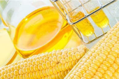 Chấm dứt điều tra chống bán phá giá đường lỏng chiết xuất từ tinh bột ngô