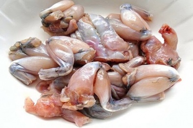 EU đưa ra cảnh báo đối với đùi ếch đông lạnh và bưởi nhập khẩu 