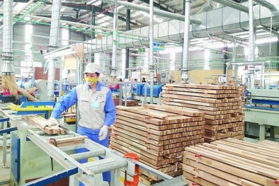 Ngành gỗ nắm bắt cơ hội, sẵn sàng phục hồi sau đại dịch Covid-19