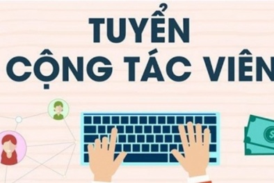Cảnh báo tình trạng lừa đảo bằng cách tuyển người bán hàng online