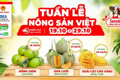 Kích cầu tiêu thụ nông sản Việt trên sàn thương mại điện tử 