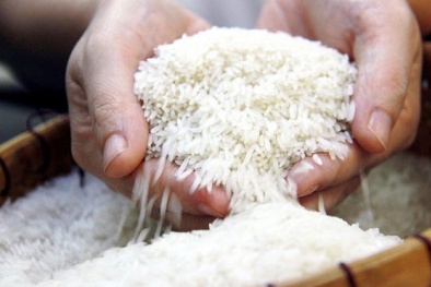 Kiến nghị xây dựng Nghị định quản lý sử dụng Nhãn hiệu Gạo Việt Nam/Vietnam Rice