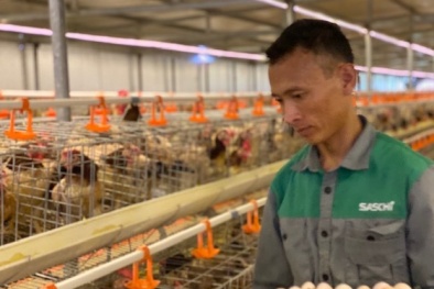 Cần có vùng nguyên liệu để sản xuất thức ăn chăn nuôi