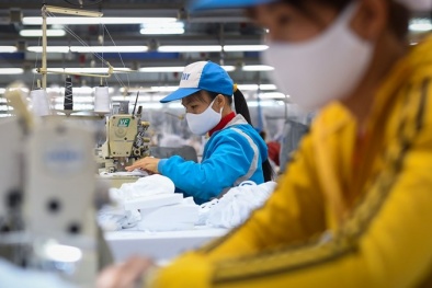 Doanh nghiệp chủ động nâng cao năng lực quản trị trong điều kiện ‘bình thường mới’