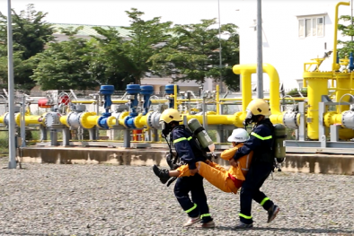 Tokyo Gas Asia tăng vốn sở hữu tại PGD lên 25% qua giao dịch thỏa thuận