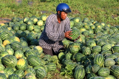 Ý tưởng phát triển thị trường nông sản Việt Nam từ chuyến thăm của Đại sứ Pháp