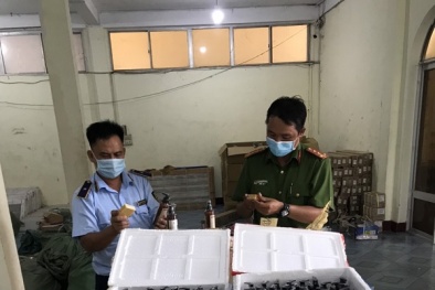 Phát hiện số lượng lớn mỹ phẩm không rõ nguồn gốc xuất xứ tại Phú Yên